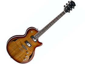 Parkwood Hybrid PWH4 acoustic-electric guitar